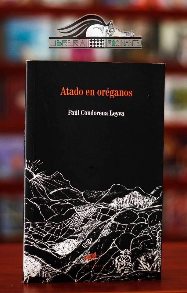 Paulcondorena