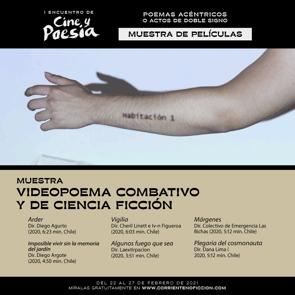 programacion 11