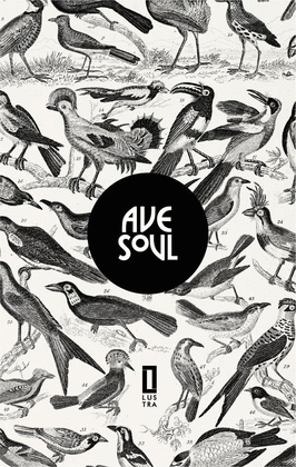 Ave Soul El Virrey
