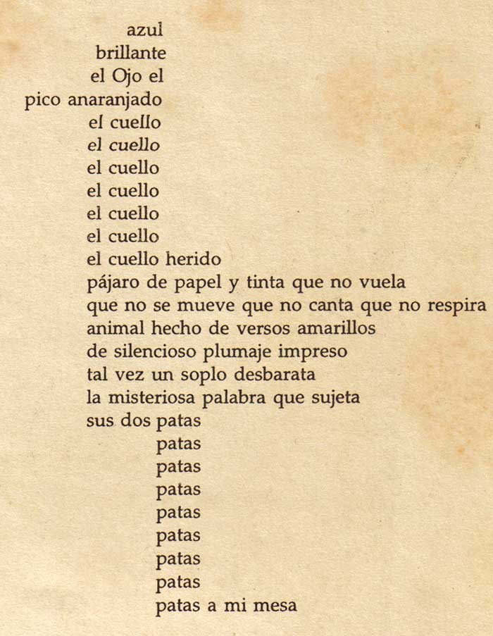 poesiaPajaro
