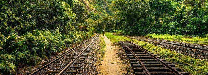 Un probable recorrido por la poesía del país