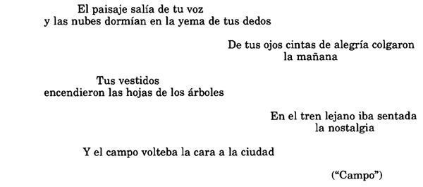 Campo