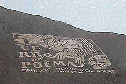 image003