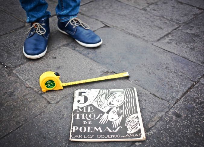 5 metros de poemas