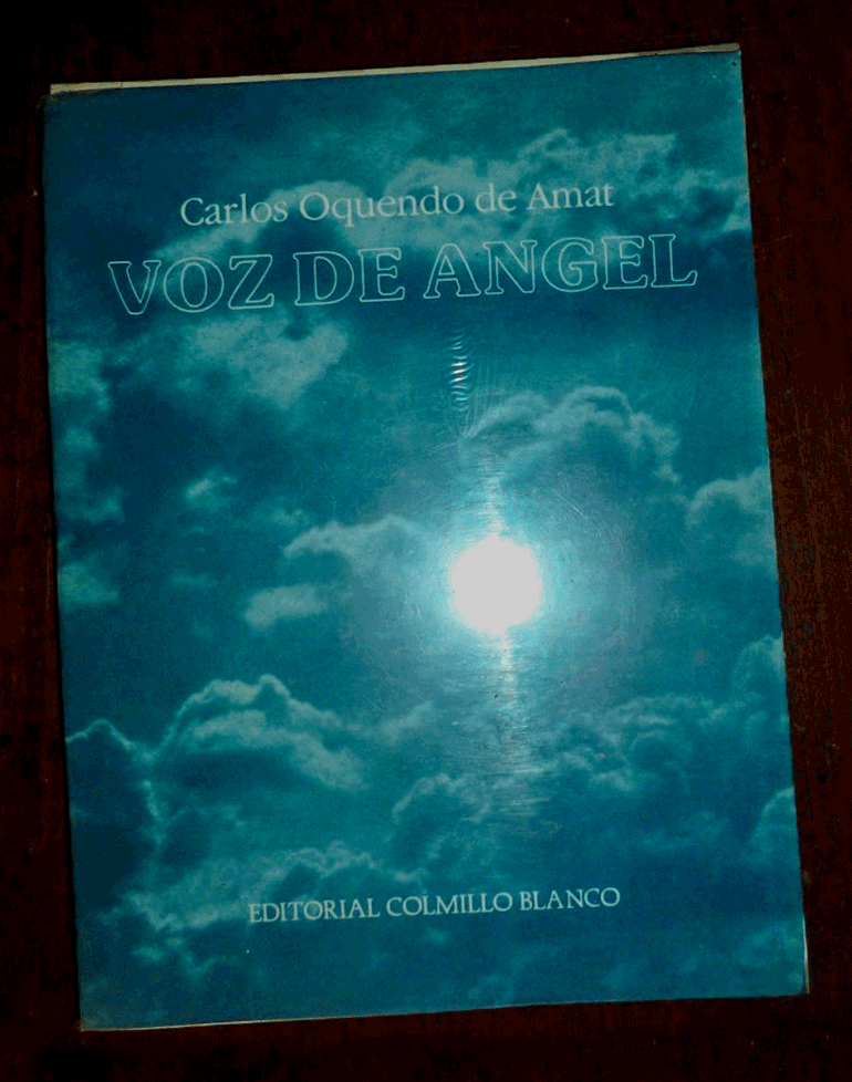 Voz de Angel.jpg